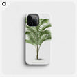 1-36_Les-Palmiers-Histoire-Iconographique_phone
