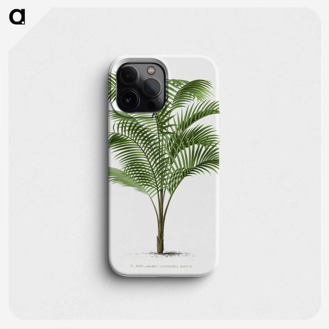 1-36_Les-Palmiers-Histoire-Iconographique_phone