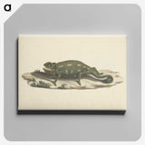 1-36_Luigi-Balugani_canvas