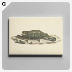 1-36_Luigi-Balugani_canvas