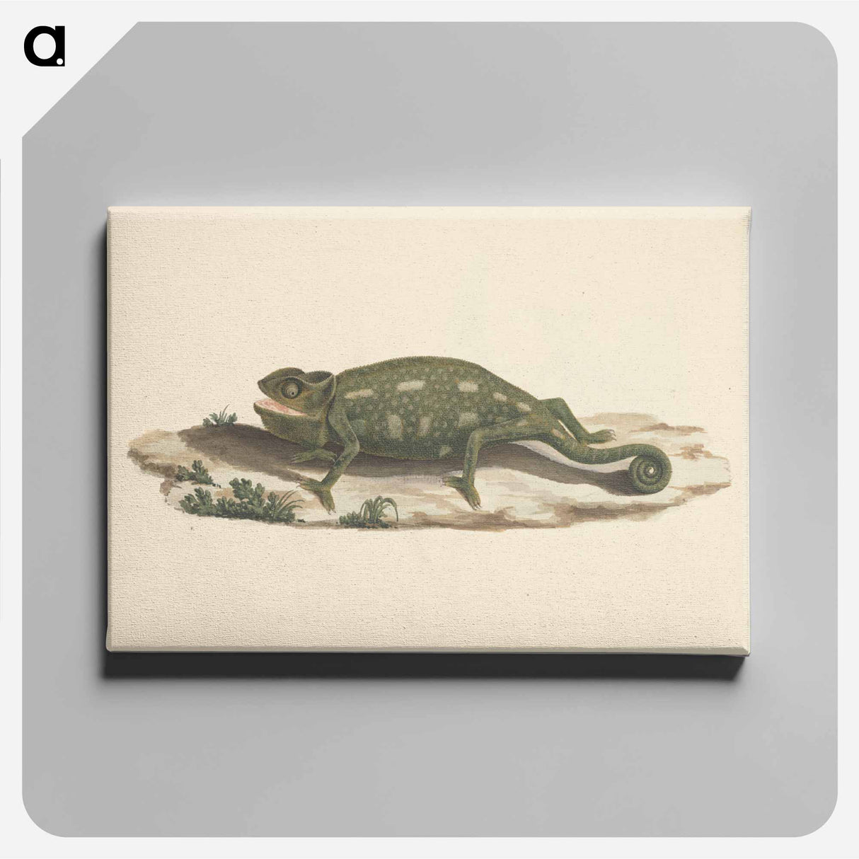 アートパネル-Unidentified Chameleon
 - ルイージ バルガーニ Canvas.