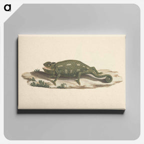 アートパネル-Unidentified Chameleon
 - ルイージ バルガーニ Canvas.
