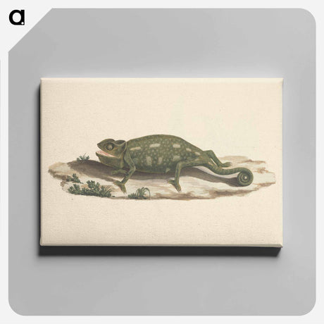 アートパネル-Unidentified Chameleon
 - ルイージ バルガーニ Canvas.