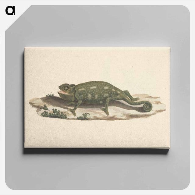 アートパネル-Unidentified Chameleon
 - ルイージ バルガーニ Canvas.