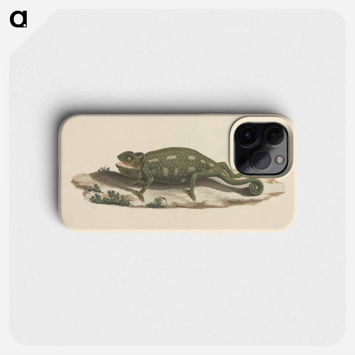 Unidentified Chameleon
 - ルイージ バルガーニ Phone Case.