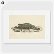 1-36_Luigi-Balugani_picture