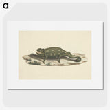 1-36_Luigi-Balugani_picture