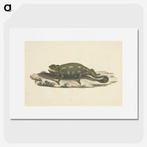1-36_Luigi-Balugani_picture