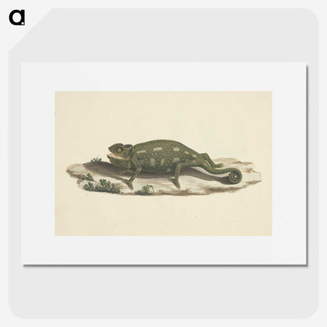 1-36_Luigi-Balugani_picture