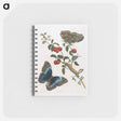 アートメモ帳-Great Blue Butterflies and Red Fruits
 - マリア ジビーラ メーリアン Memo.