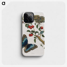 1-36_Maria-Sibylla-Merian_phone