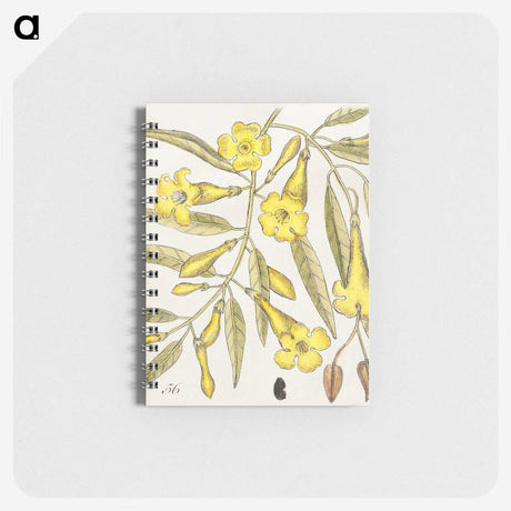 1-36_Mark-Catesby_memo