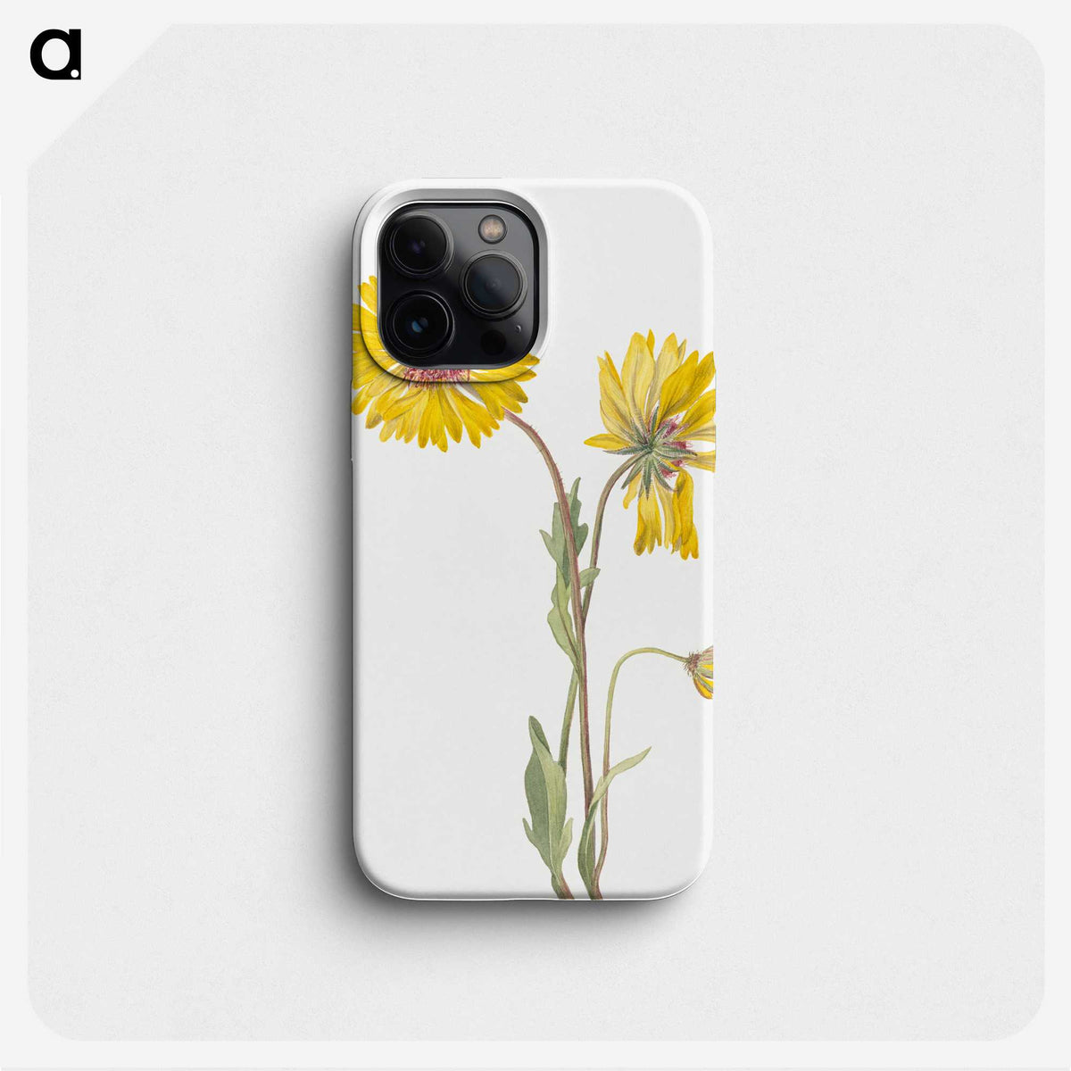 1-36_Mary-Vaux-Walcott_phone