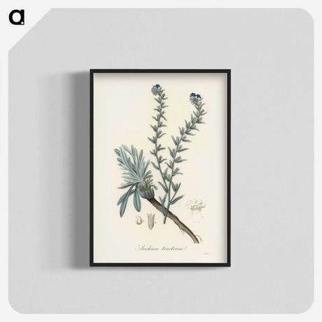 1-36_Medical-Botany_blk-crop