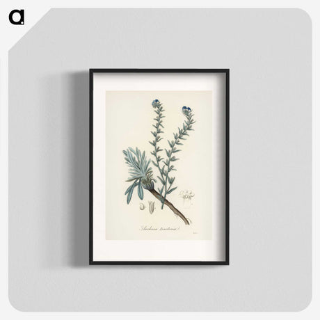 1-36_Medical-Botany_blk