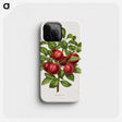 1-36_Nederlandsche-Flora-en-Pomona_phone