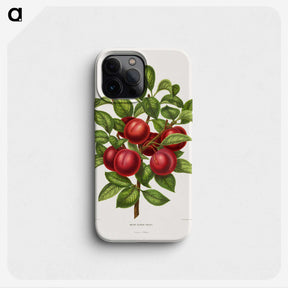 1-36_Nederlandsche-Flora-en-Pomona_phone
