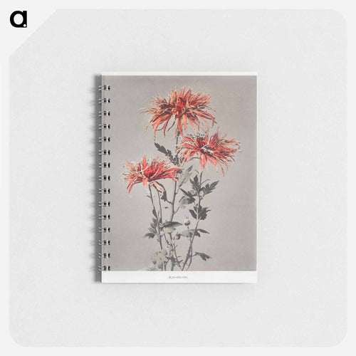 Kin–shi–shi - Kazumasa Ogawa Memo.