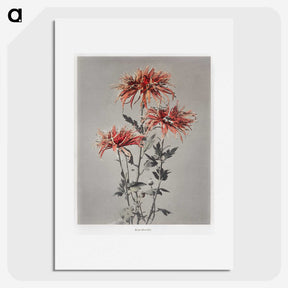 1-36_Ogawa-Kazumasa_picture