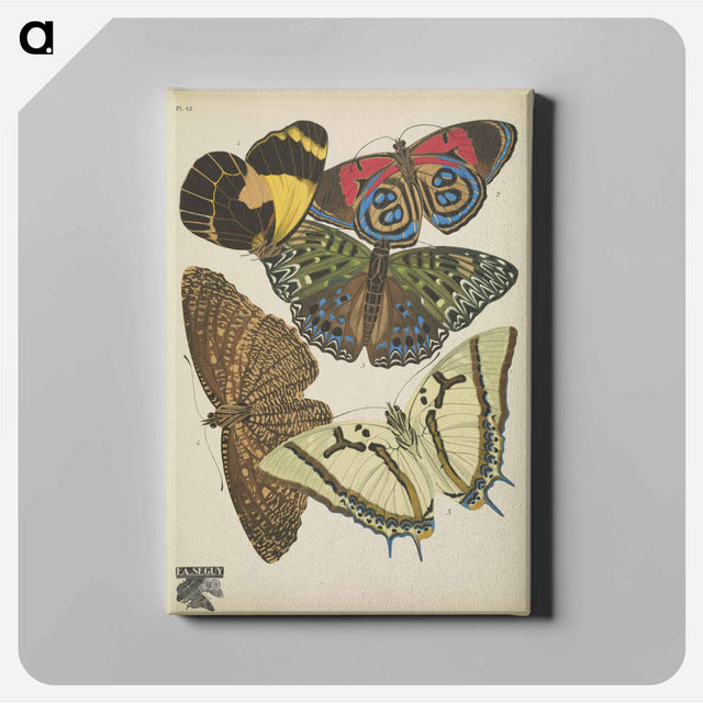 アートパネル-Vintage Butterflies
 - パピヨン Canvas.
