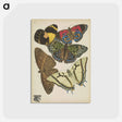 アートポストカード-Vintage Butterflies
 - パピヨン Postcard.
