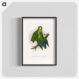1-36_Parrots-in-Captivity_blk