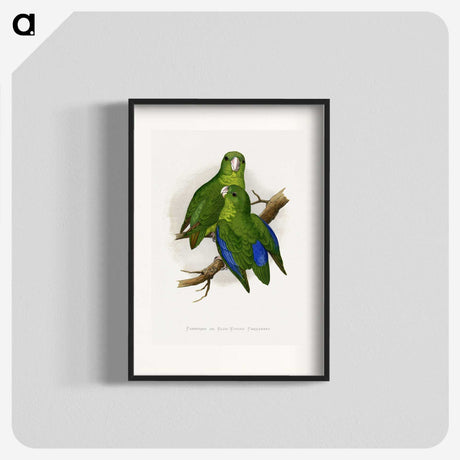 1-36_Parrots-in-Captivity_blk