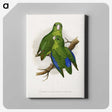 1-36_Parrots-in-Captivity_canvas