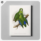 1-36_Parrots-in-Captivity_canvas