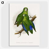 1-36_Parrots-in-Captivity_picture-crop