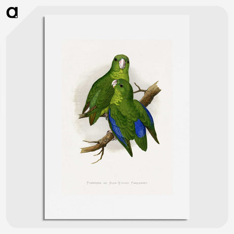 1-36_Parrots-in-Captivity_picture