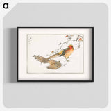 アートポスター-Golden Pheasant and Flower of Japanese Quince
 - 鳥類図鑑 Poster.