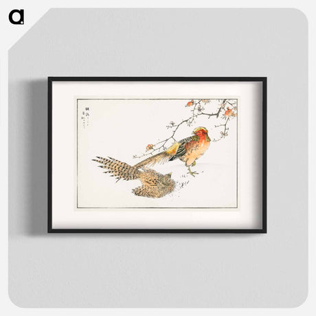 アートポスター-Golden Pheasant and Flower of Japanese Quince
 - 鳥類図鑑 Poster.