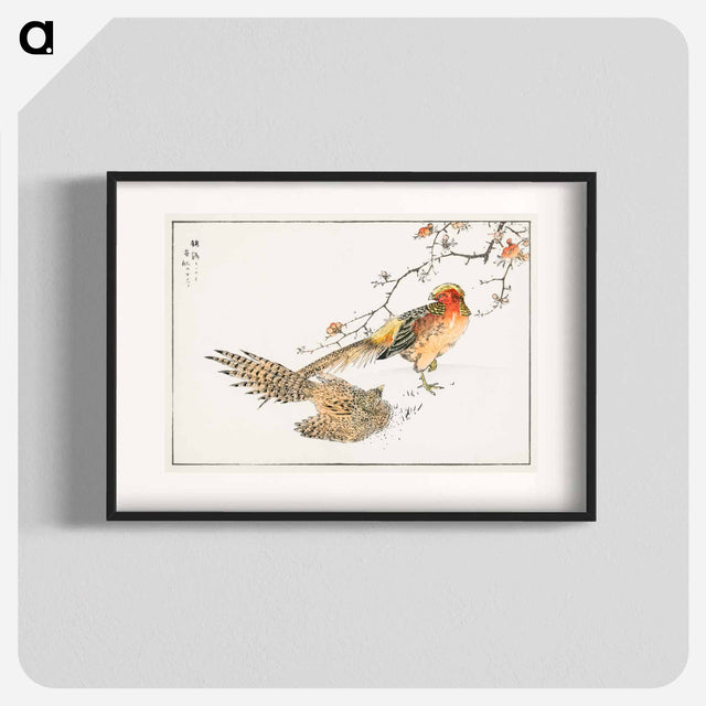 アートポスター-Golden Pheasant and Flower of Japanese Quince
 - 鳥類図鑑 Poster.
