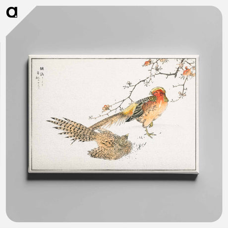 アートパネル-Golden Pheasant and Flower of Japanese Quince
 - 鳥類図鑑 Canvas.