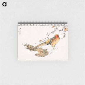 アートメモ帳-Golden Pheasant and Flower of Japanese Quince
 - 鳥類図鑑 Memo.