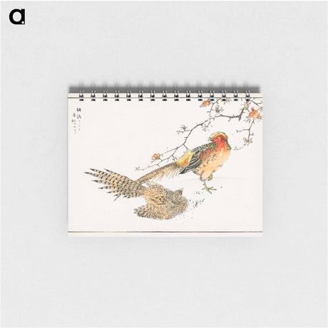 アートメモ帳-Golden Pheasant and Flower of Japanese Quince
 - 鳥類図鑑 Memo.