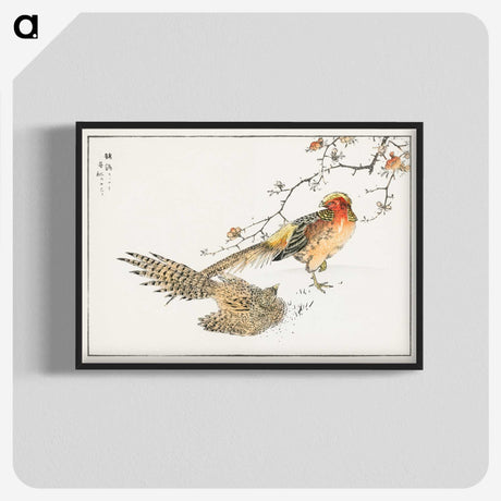 1-36_Pictorial-Monograph-of-Birds_blk-crop