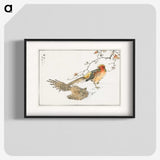 1-36_Pictorial-Monograph-of-Birds_blk
