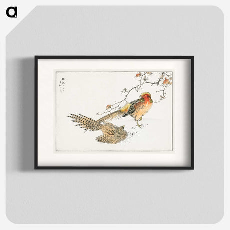 1-36_Pictorial-Monograph-of-Birds_blk