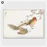 1-36_Pictorial-Monograph-of-Birds_picture-crop