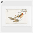 1-36_Pictorial-Monograph-of-Birds_picture