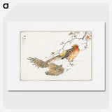 1-36_Pictorial-Monograph-of-Birds_picture