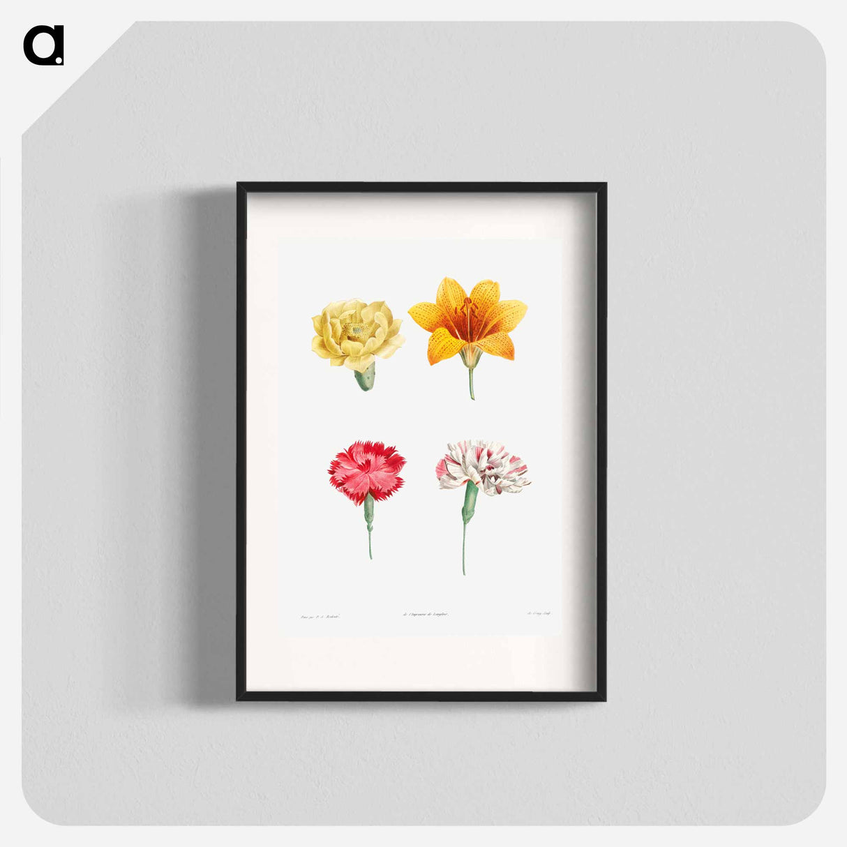 Flower set from La Botanique de JJ Rousseau - Pierre Joseph Redouté Poster.