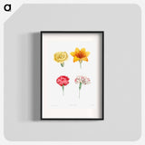 Flower set from La Botanique de JJ Rousseau - Pierre Joseph Redouté Poster.