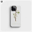 1-36_Pomona-Italiana_phone