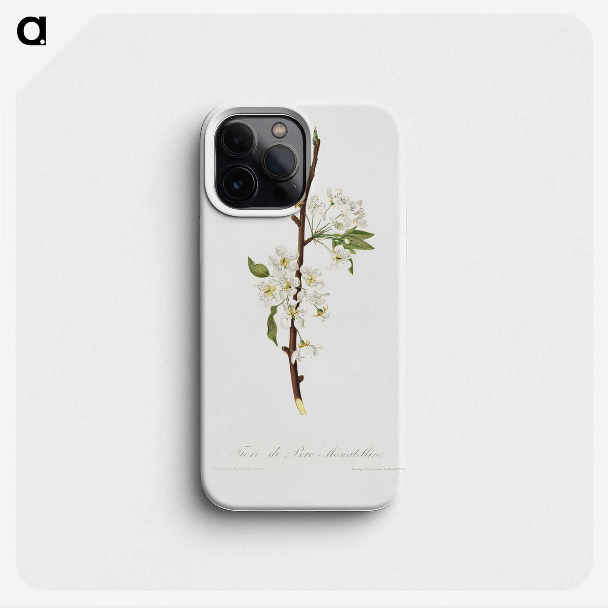 1-36_Pomona-Italiana_phone