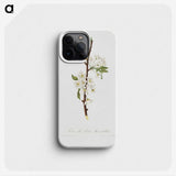 1-36_Pomona-Italiana_phone