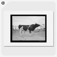 1-36_Russell-Lee_picture