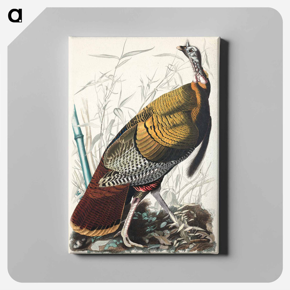 アートパネル-Wild Turkey or Great American Cock from Birds of America
 - アメリカの鳥たち Canvas.